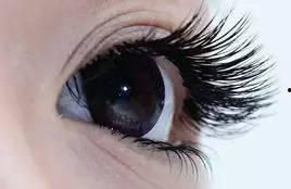 明星为什么不嫁接睫毛,明星为何不选择嫁接？揭秘美丽背后的秘密